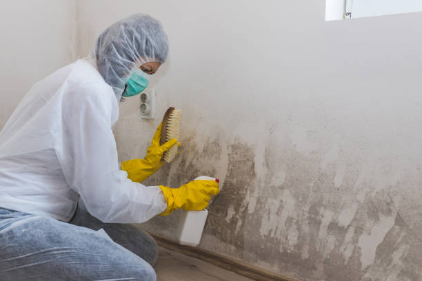 Best Commercial Mold Inspection  in Caney, KS